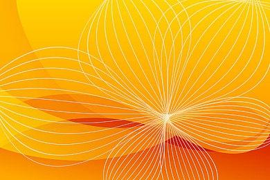 国外四岁小孩玩《Apex英雄》 操作熟练最终吃鸡